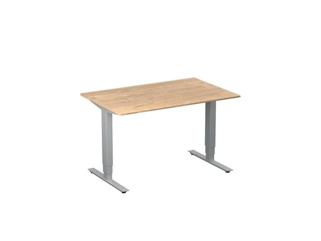 Populär Bord höj/sänk Pro 1200x800 ek/silver