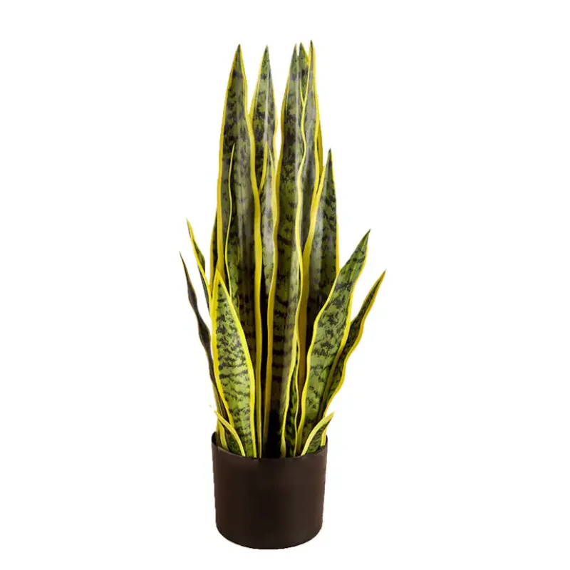 Konstväxt Lykke Snake Plant Rabatt
