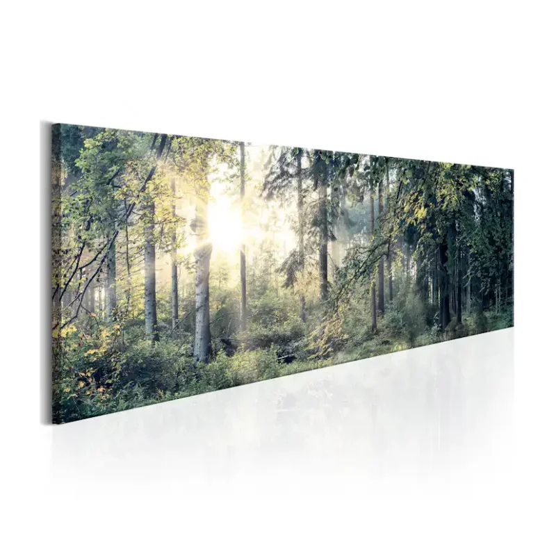 Bästa pris Tavla Arkiio Morning Magic135x45 cm